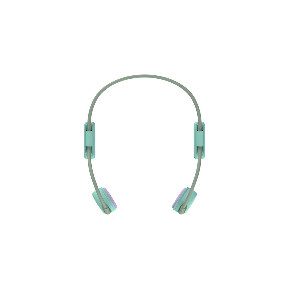 my Frisrt BC Wireless Lite